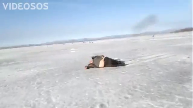Мем мужик на льду