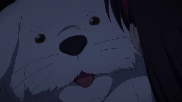 Episode 12