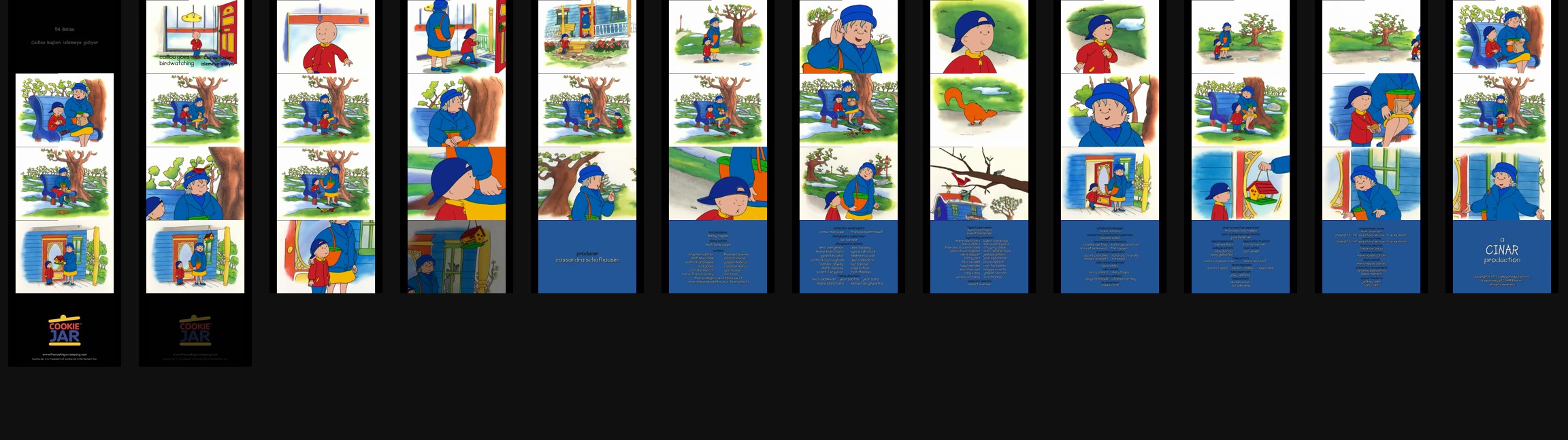 Preview
