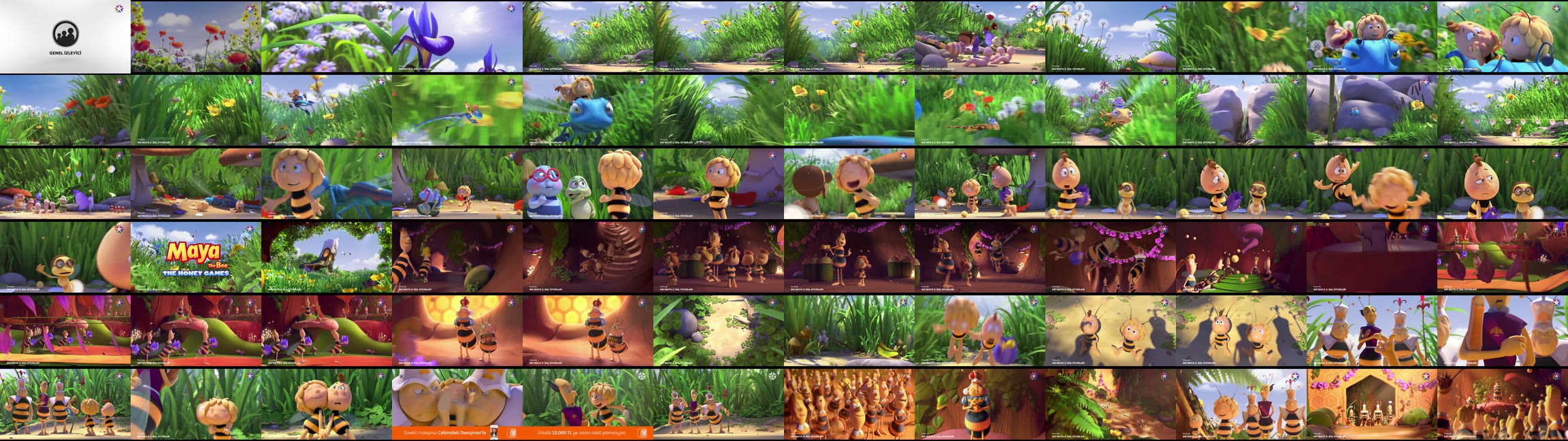 Arı Maya 2: Bal Oyunları