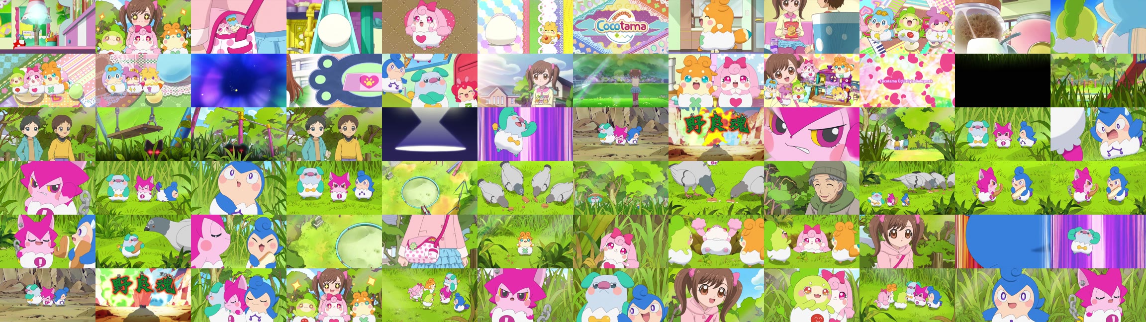 Preview
