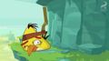   / Angry Birds Toons (2013)