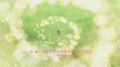    / Super lovers