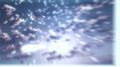  ANILIBRIA   / IS: Infinite Stratos - ( , 1  + 1 OVA)