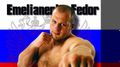   [   MMA, 39 ] Fedor Emelianenko [MMA career pack, 39 fights] [2011 ., , DVDRip]