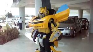 �������-�����������