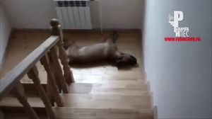 ����� � �������