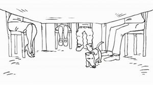 RSPCA - Simon's Sister's Dog 'Fed Up'