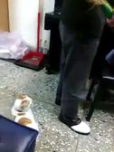 ����-�������� �������� ������ �� ��������