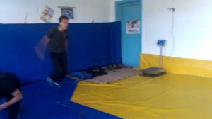 � ���������