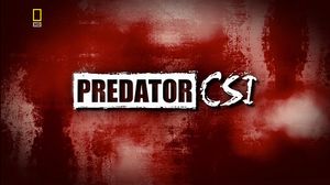     / Predator CSI -  