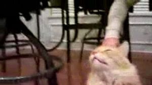 ��������� ���))