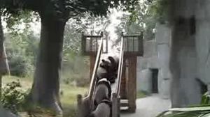 ����� �� �����