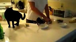 ����� �������� �������