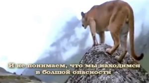  ,    ! - zadumaisa.com