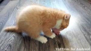 ������ ������� ������.