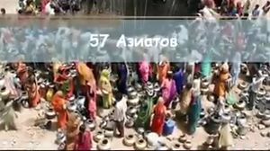     -    100   - zadumaisa.com