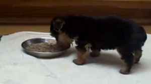 ���������� �����