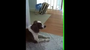 ������� � ������