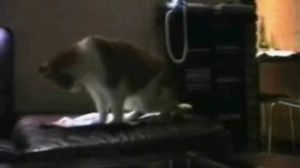 !!! ��������� �����