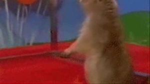 �������� ������ �������