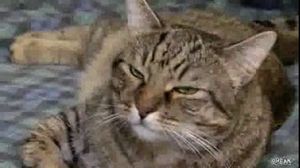 ���-������