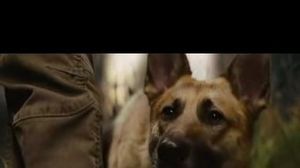 ������ �� ������ � �������