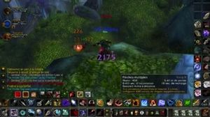 Wow pvp Hunt
