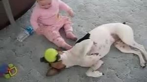 ������� ������ ������