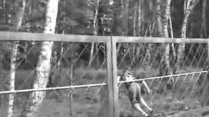 ������ � �����