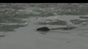 ����� ����... 