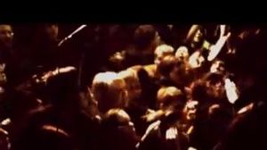 Bless The Fall - Black Rose Dying (live) - ������