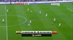 ���������-��������