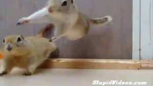 ������� �� ��������