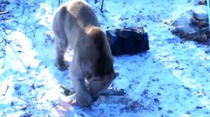 ��������,  �� �������