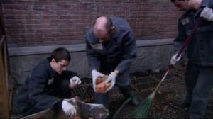 Pobeg.(17.seria.iz.22).2010.XviD.SATRip.Opekyn