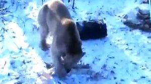 ������� �� �������))))������ � �����!