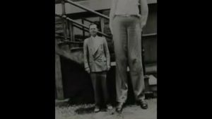 20 ����� �������� ����