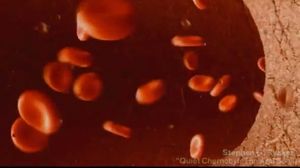 Houdini Master Demo Poderoso Editor de Video y Animaciones