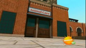 21 ����� ������ ����