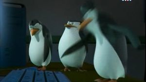 26 ����� ����� ��� ����