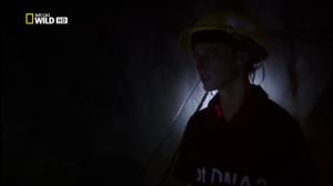 Word-science.ru National Geographic - ����� ������� ����� - �������������� ����� - �������������� ������