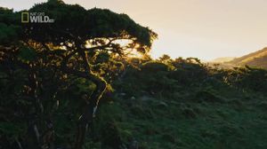 Word-science.ru ������� ������. ������� ������� �������� ��������. �������������� �����. - �������������� ������