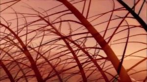 Word-science.ru ����� �����. ������ �����. ����������� ����������. �������������� �����.[1] - �������������� ������