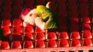 ������ ����� - ���������