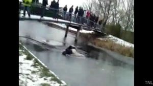 ������ ������� 2011