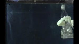 Octopus-like Robotic Arm playing and grasping a bottle - Vidno