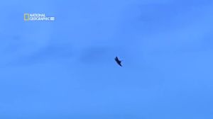 ����������. ������� Eurofighter. ������������ ��������! National Geographic - ���������� 