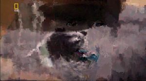 ����� �� ��������. ������ �������� �������. National Geographic. - ������������ 