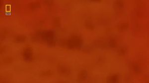 ���������. ������ ���������. �������������� �����